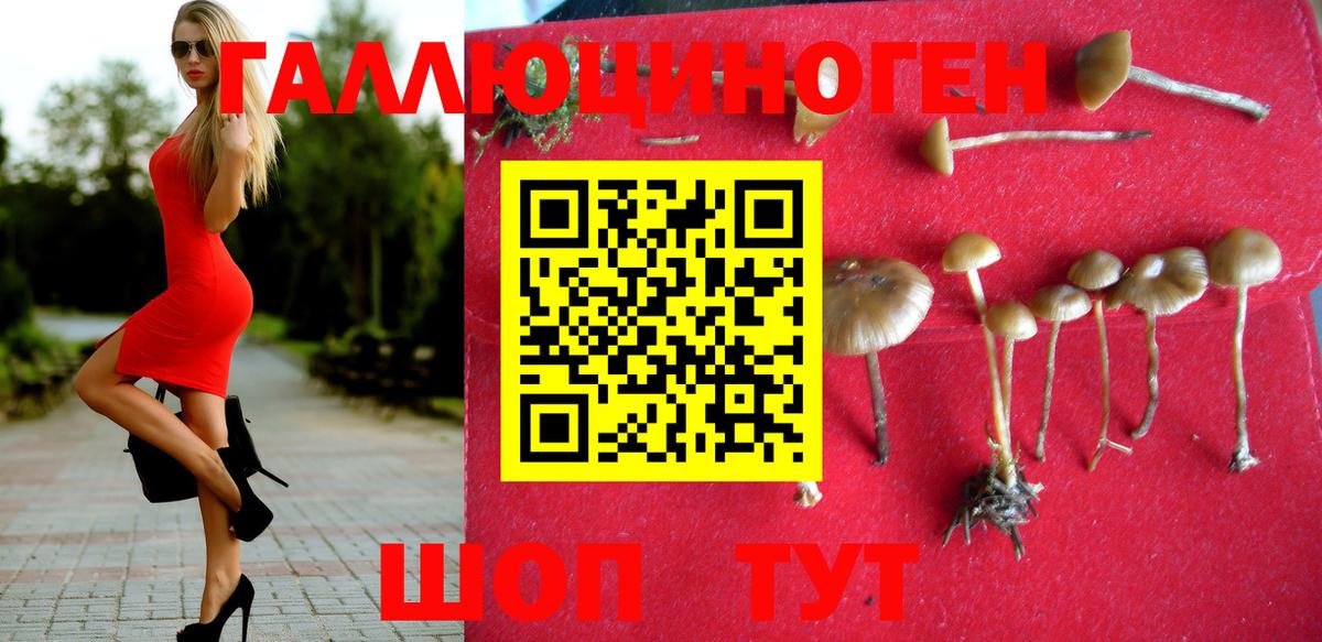 Галлюциногенные грибы Magic Shrooms  Вход с VPN  Калач-на-Дону 